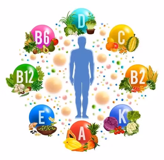 医薬品有効成分 ビタミンB1、B2、B3、B5、B6、B9、B12